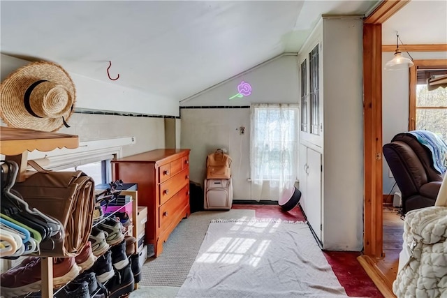 bonus room featuring plenty of natural light, vaulted ceiling, and carpet floors