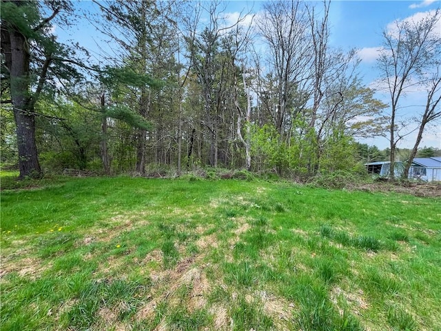 131 W Sullivanville Rd, Veteran, NY 14845 - view of yard