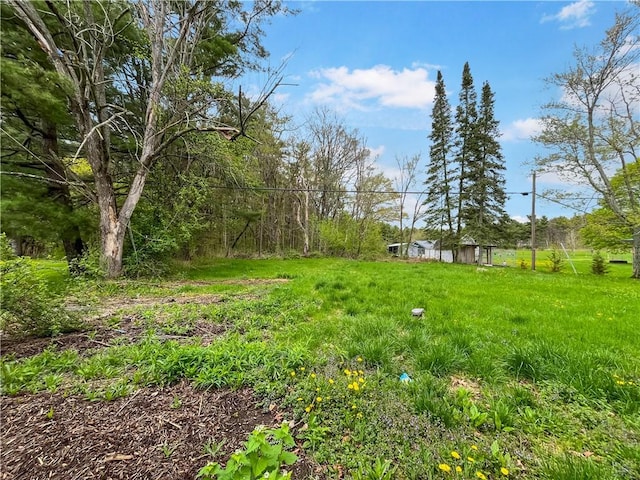 131 W Sullivanville Rd, Veteran, NY 14845 - view of yard