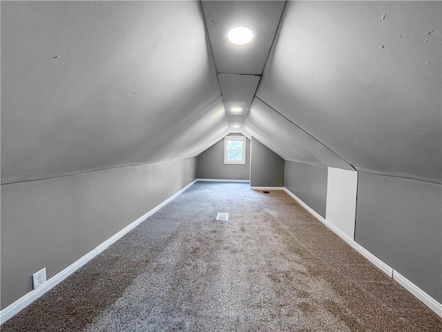 131 W Sullivanville Rd, Veteran, NY 14845 - additional living space featuring lofted ceiling, carpet floors, and baseboards