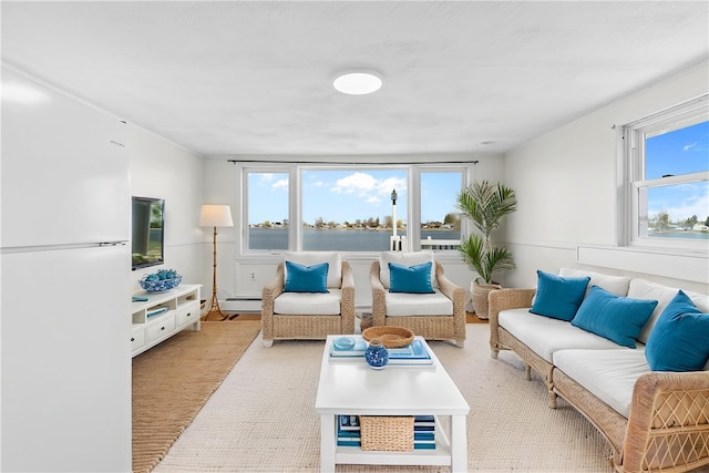 living room featuring light colored carpet