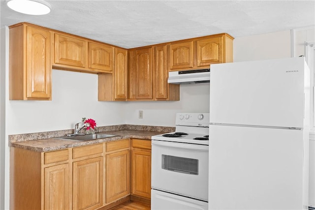kitchen with white appliances, a sink, and under cabinet range hood