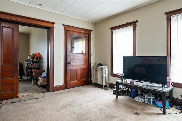 interior space with radiator, carpet, and a wealth of natural light