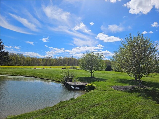 8989 Chidsey Hill Rd, Pulteney, NY 14418 - photo 34