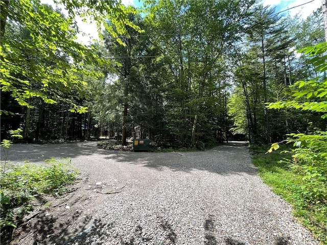 2323 State Route 29, Salisbury, NY 13329 - view of street with a forest view