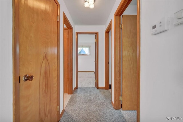 hallway featuring baseboards and carpet