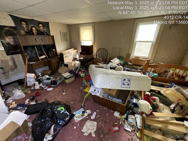 misc room featuring a paneled ceiling, carpet flooring, and wallpapered walls