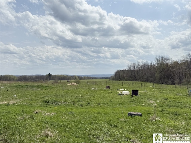3921 Daily Hill Rd, Poland, NY 14747 - photo 19