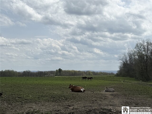 3921 Daily Hill Rd, Poland, NY 14747 - photo 20