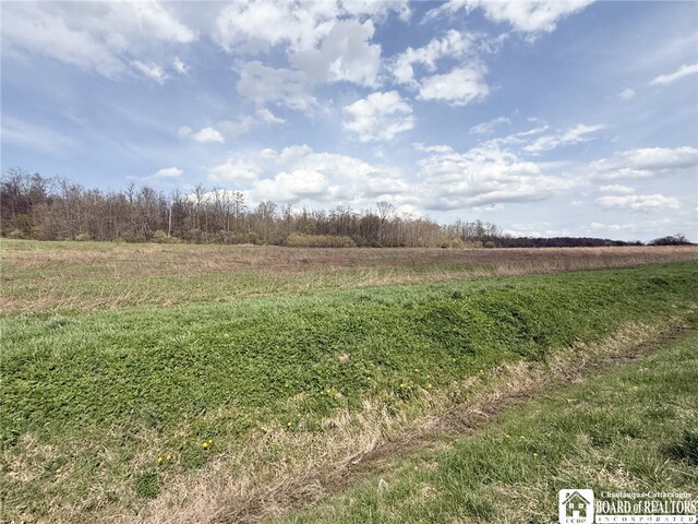 3921 Daily Hill Rd, Poland, NY 14747 - photo 21