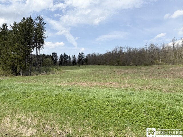 3921 Daily Hill Rd, Poland, NY 14747 - photo 22