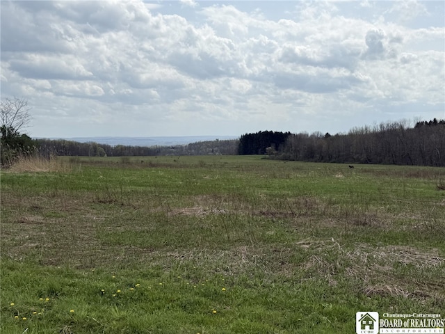 3921 Daily Hill Rd, Poland, NY 14747 - photo 23