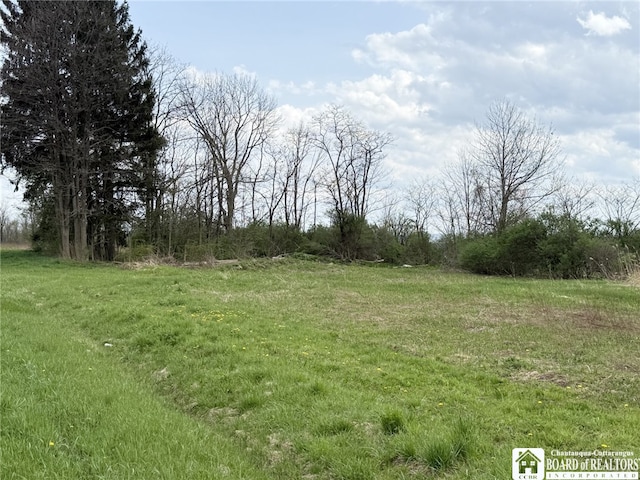 3921 Daily Hill Rd, Poland, NY 14747 - photo 25