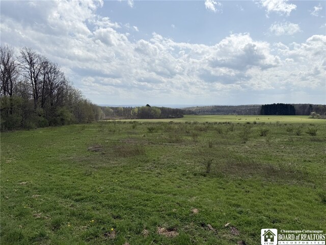 3921 Daily Hill Rd, Poland, NY 14747 - photo 27