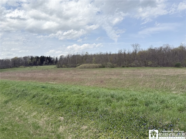 3921 Daily Hill Rd, Poland, NY 14747 - photo 28