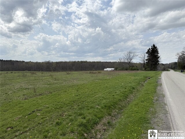 3921 Daily Hill Rd, Poland, NY 14747 - photo 29