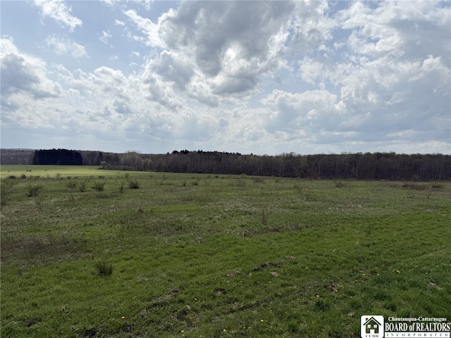 3921 Daily Hill Rd, Poland, NY 14747 - photo 30