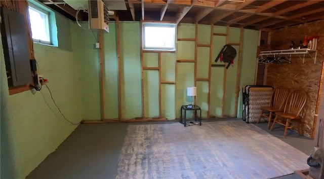 basement with electric panel
