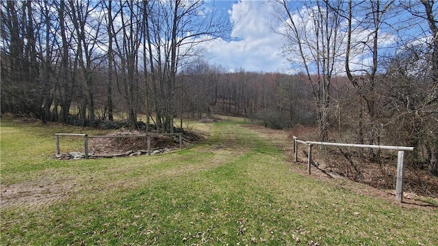 view of yard with a forest view