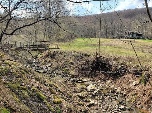 view of landscape with a wooded view