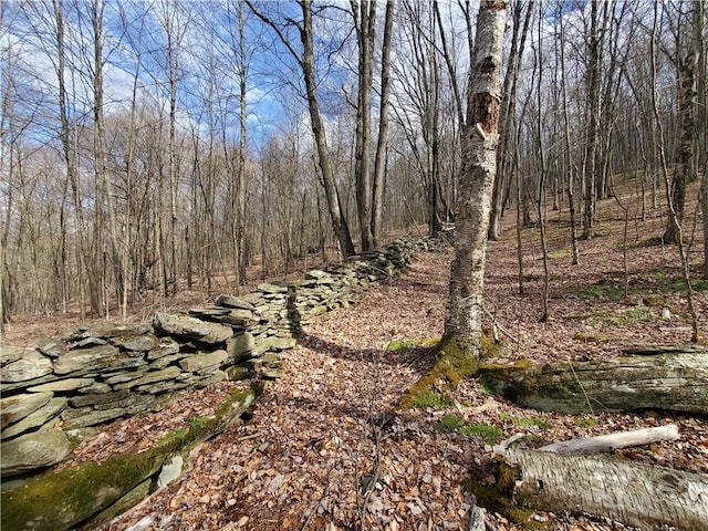view of nature featuring a wooded view