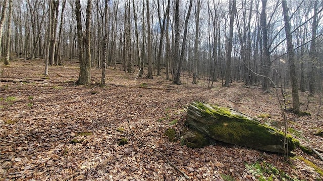 view of nature with a wooded view