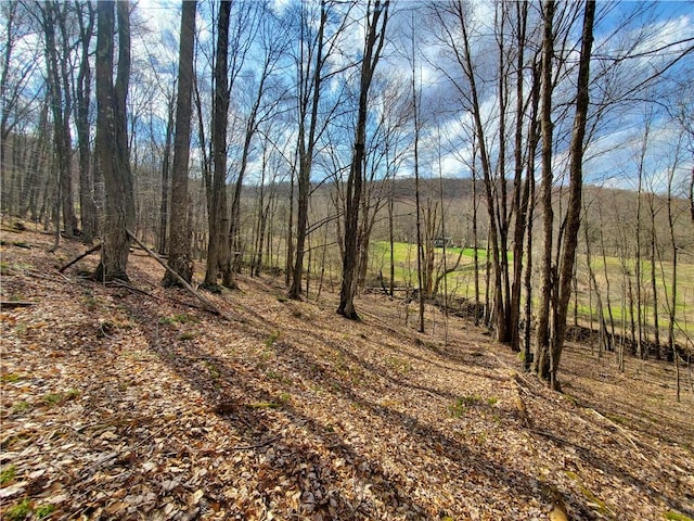 view of landscape