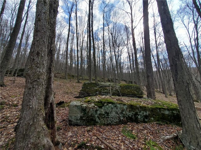 view of nature featuring a wooded view