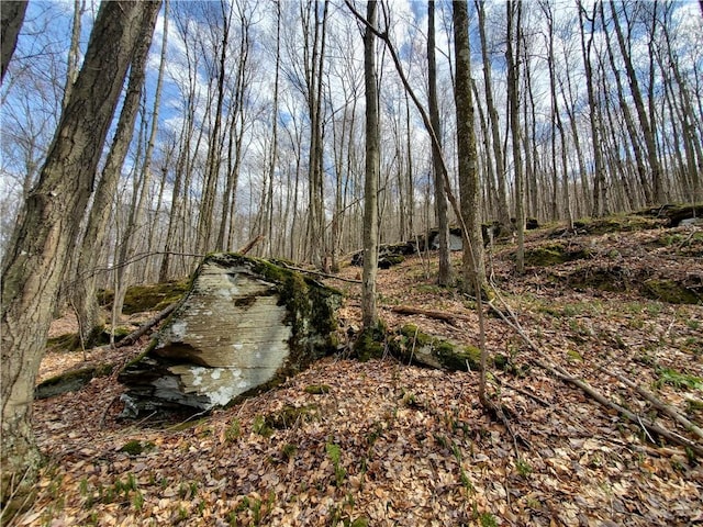 view of nature
