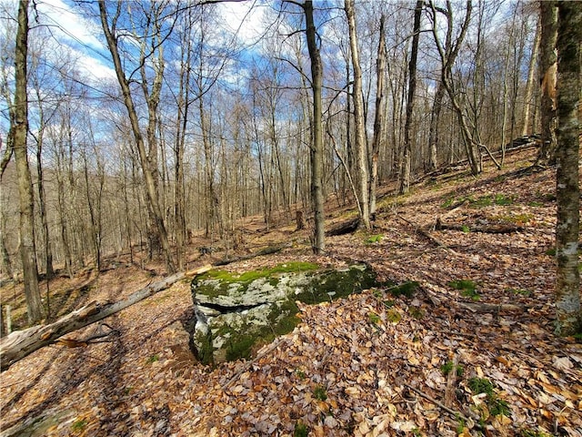 view of nature featuring a wooded view