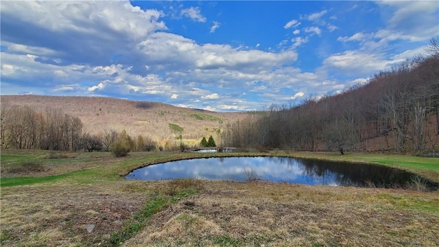 property view of water featuring a view of trees