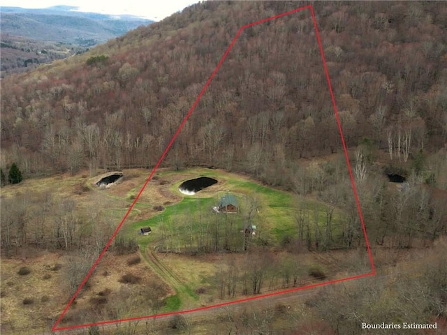 birds eye view of property featuring a view of trees and a mountain view