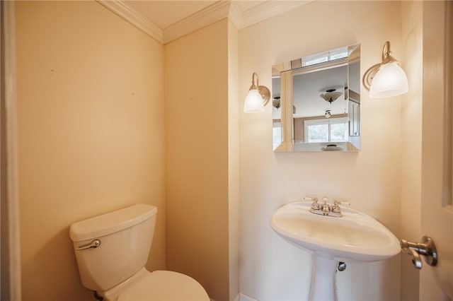 half bath with crown molding and toilet