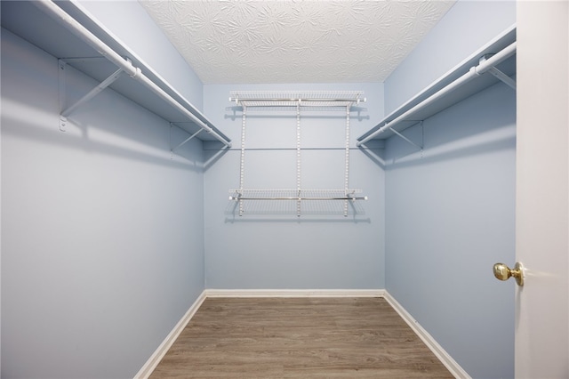 walk in closet featuring wood finished floors