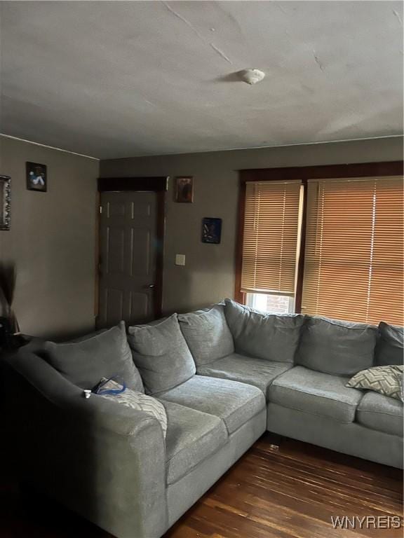 living area featuring wood finished floors