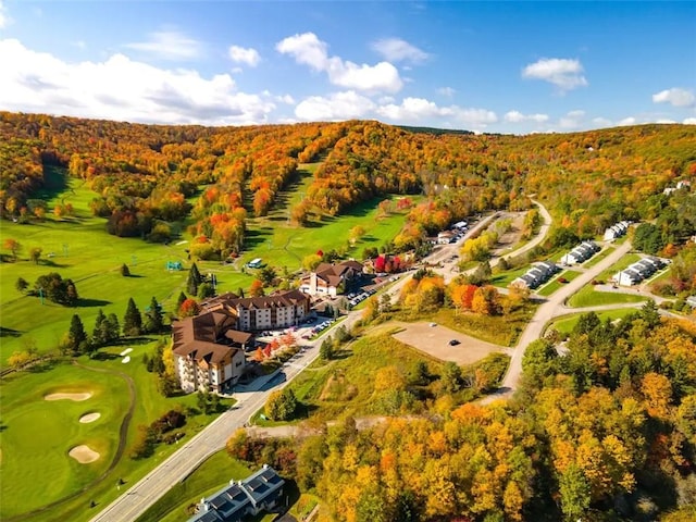 7136 Maples Rd, Mansfield, NY 14755 - drone / aerial view featuring golf course view and a view of trees