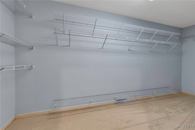spacious closet with carpet floors