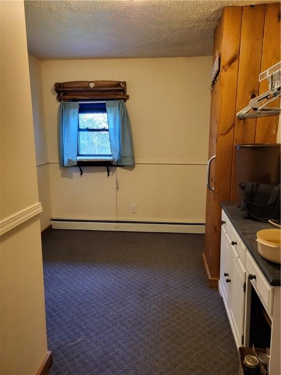 607 Kilkenny Rd, Unadilla, NY 13849 - interior space featuring a baseboard heating unit, dark colored carpet, and a textured ceiling