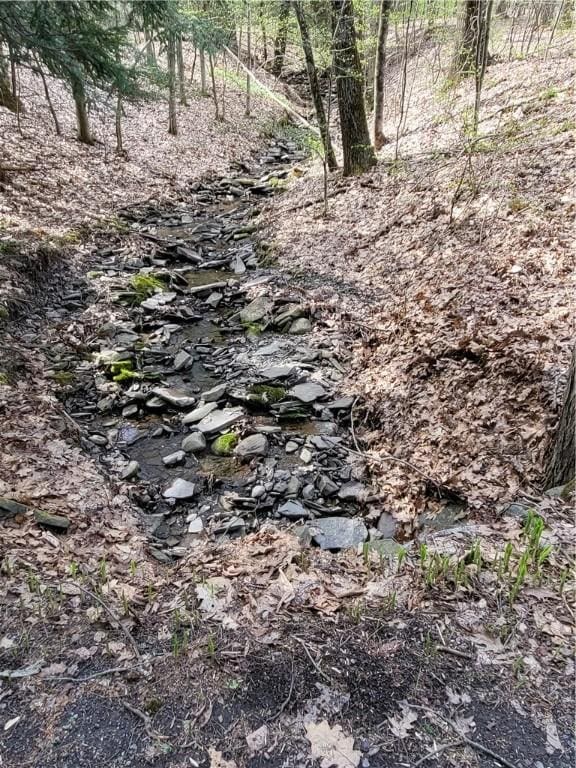 607 Kilkenny Rd, Unadilla, NY 13849 - view of local wilderness