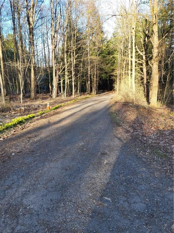 607 Kilkenny Rd, Unadilla, NY 13849 - view of street