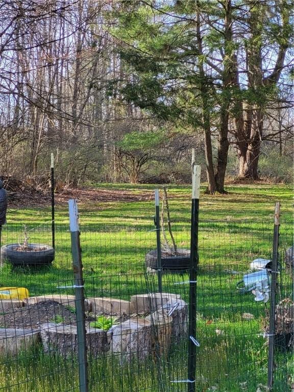 607 Kilkenny Rd, Unadilla, NY 13849 - view of yard