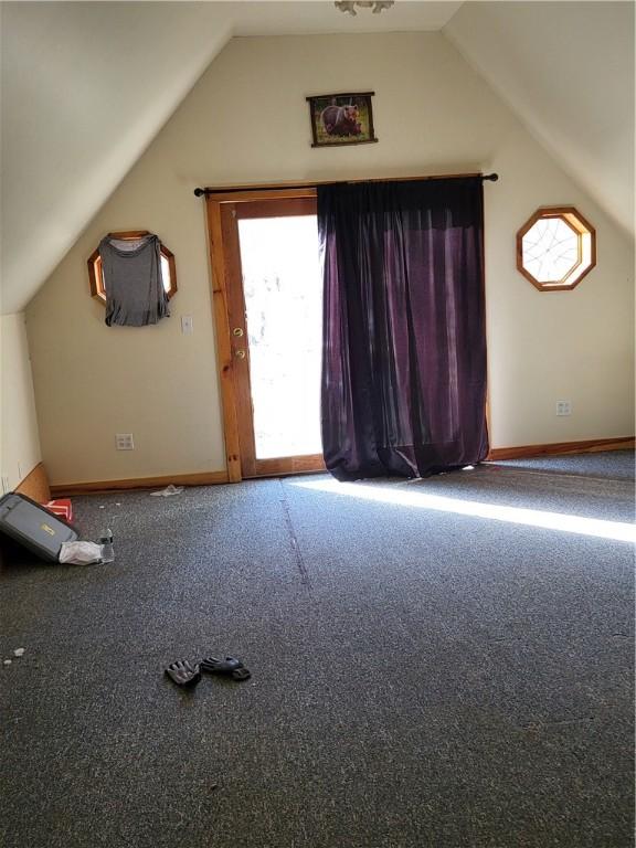 607 Kilkenny Rd, Unadilla, NY 13849 - additional living space with lofted ceiling, carpet floors, and baseboards