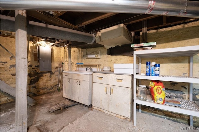 unfinished basement featuring electric panel