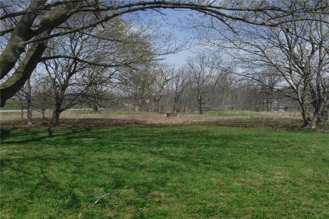 9867 Transit Rd, Pavilion, NY 14054 - view of yard