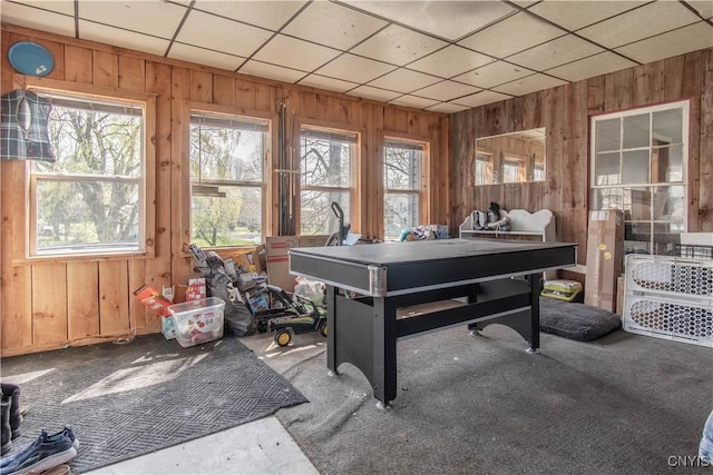 108 Mechanic St, Antwerp, NY 13608 - rec room with carpet flooring, plenty of natural light, and wooden walls