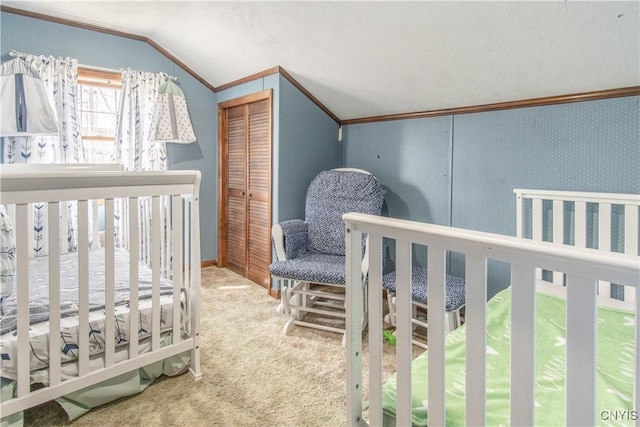 108 Mechanic St, Antwerp, NY 13608 - carpeted bedroom with ornamental molding, a closet, and vaulted ceiling