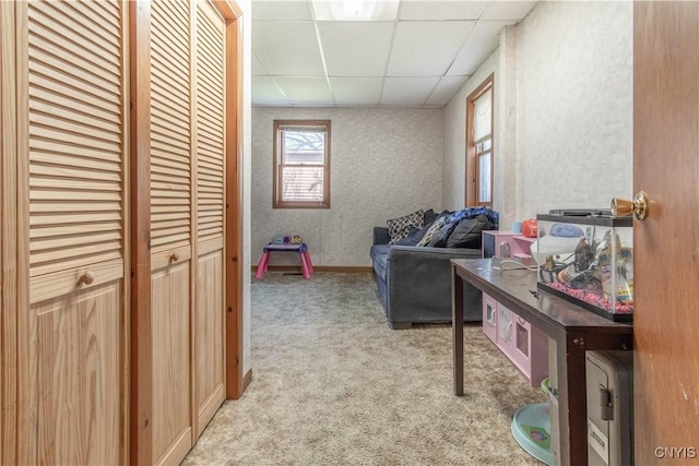 108 Mechanic St, Antwerp, NY 13608 - living area featuring light carpet and a drop ceiling