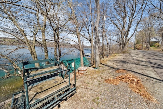11519 E Lake Rd, Wayne, NY 14840 - view of property's community with a water view