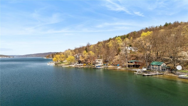 11519 E Lake Rd, Wayne, NY 14840 - property view of water