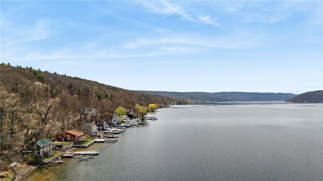 11519 E Lake Rd, Wayne, NY 14840 - property view of water
